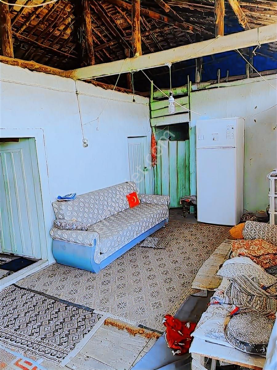 Bozdoğan Kavaklı Köyü'nde Doğayla İç İçe Huzurlu Yaşam Fırsatı! - Görsel 9