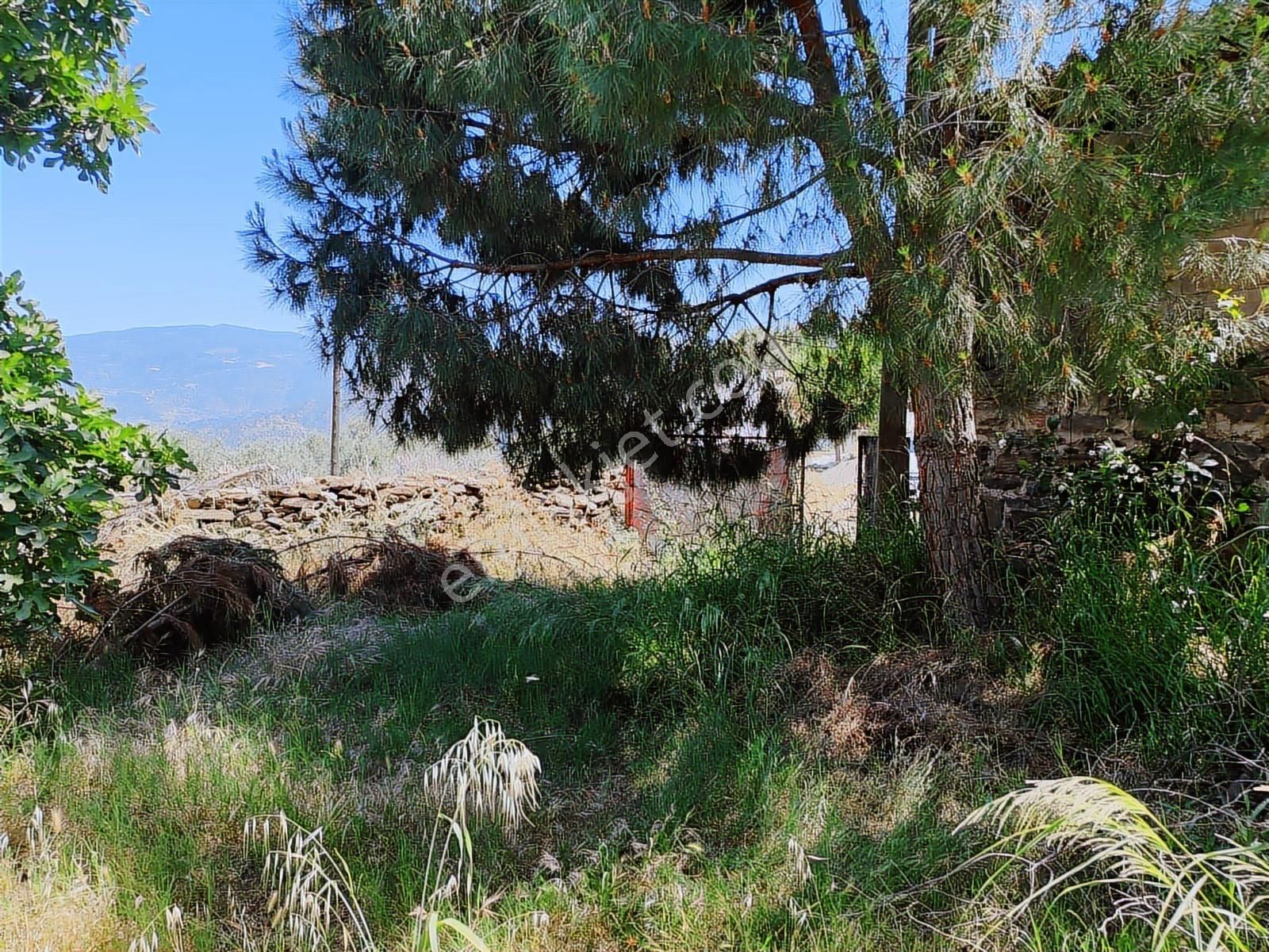 Bozdoğan Kavaklı Köyü'nde Doğayla İç İçe Huzurlu Yaşam Fırsatı! - Görsel 8