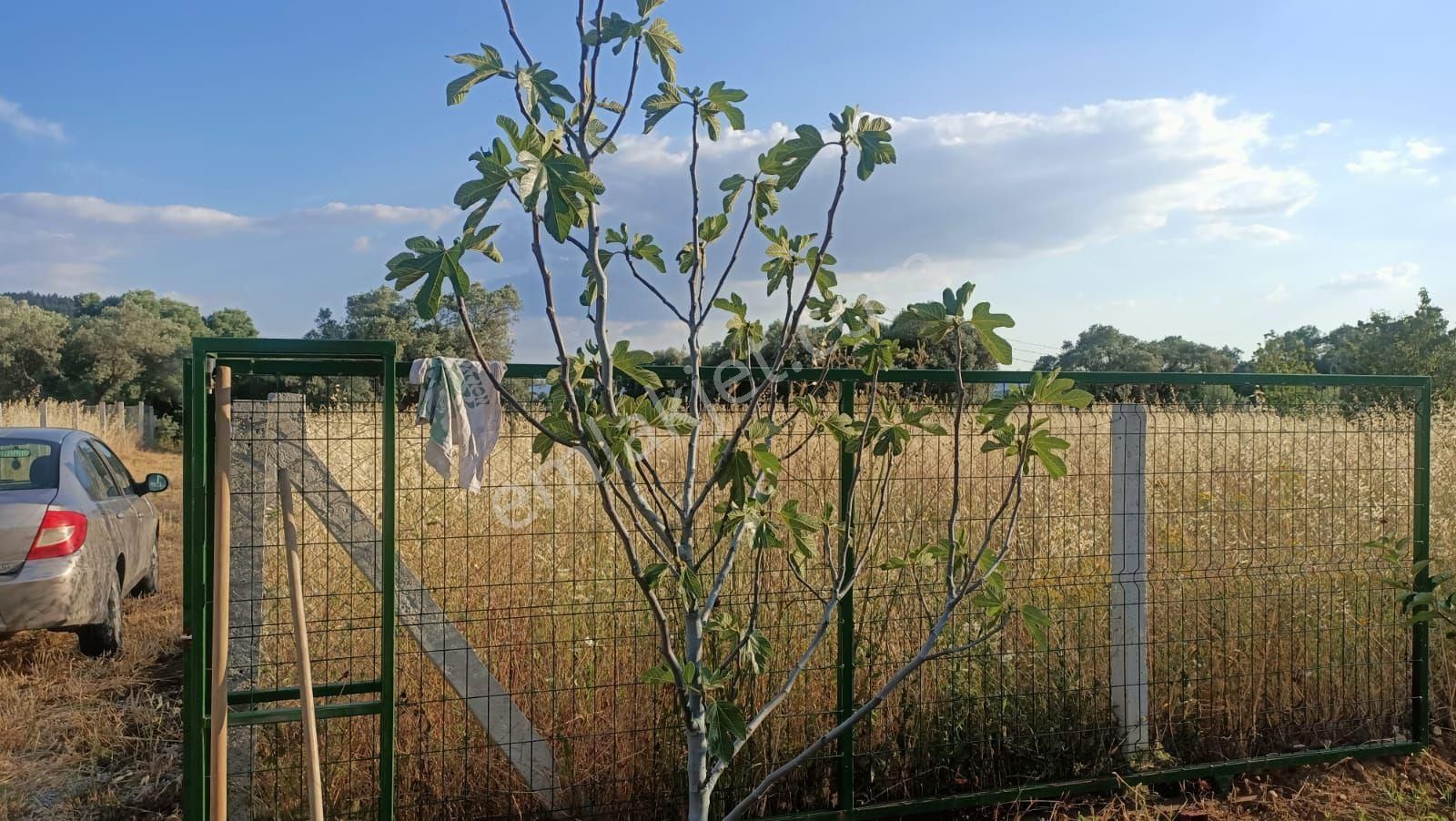 Kemalpaşa Vişneli Tapudan Satış Bahçe 🌿🌿 - Görsel 10