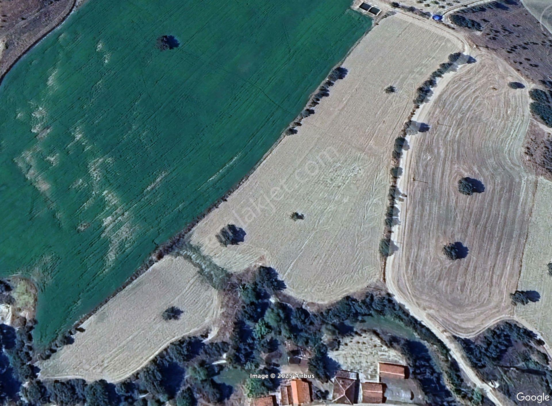 Acil Satılık Eski Cami'de 18.738 M² Müstakil Tapulu | İlçe Merkeze 6 Km | Selendi Çayına Yakın - Görsel 2