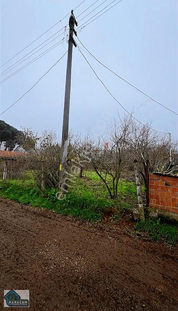 Gökçeyazı Da Satılık Bahçe - Görsel 27
