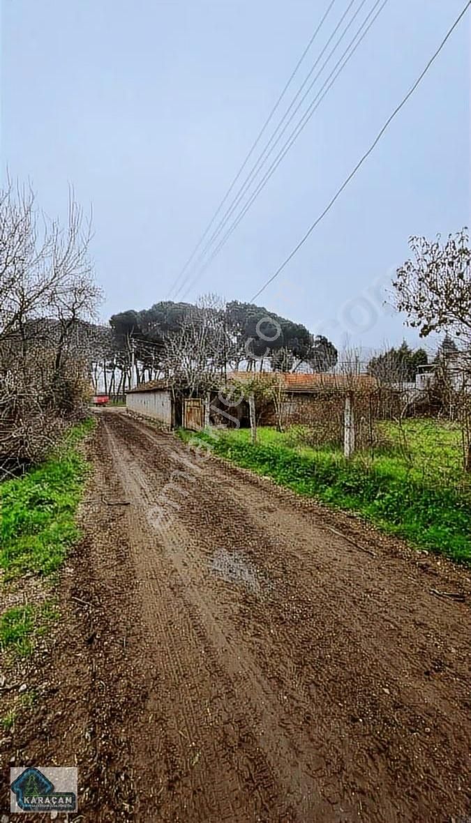 Gökçeyazı Da Satılık Bahçe - Görsel 12