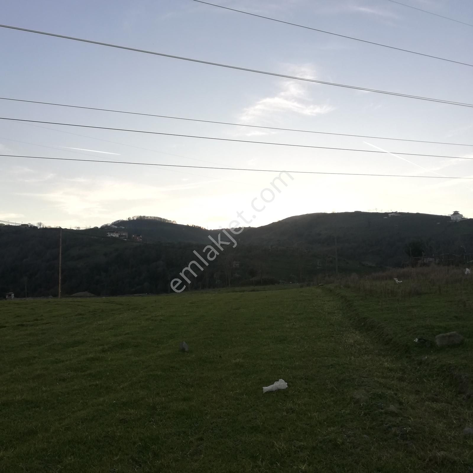 Tekkeköy Yavuzlar Mah. Satılık İmarlı 350 M2 Arsa - Görsel 29