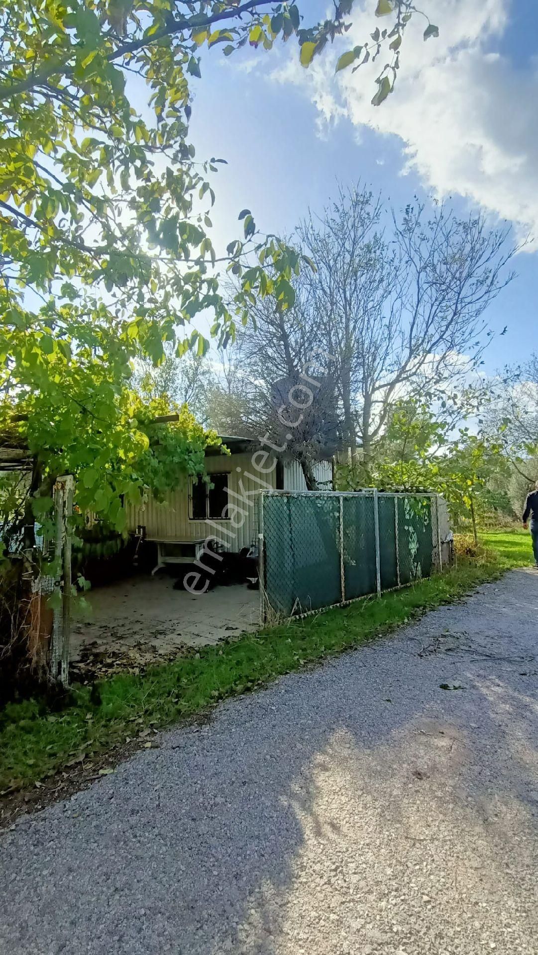 Coldwell Banker Town'dan Armutlu'da Tek Tapulu Satılık Bahçe 🌿🌿 - Görsel 6