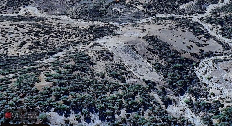 Kumluca Gölcük'te Tektapu Mükemmel Konumda Tarla - Görsel 8