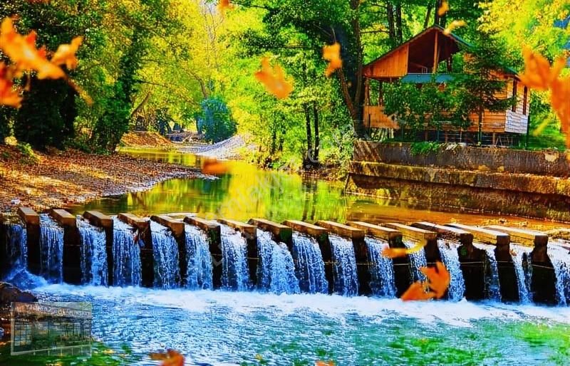 Doktor Tavsiyeli Karasuda Havuzlu Cam Balkon Kombili Bahçeli. - Görsel 6