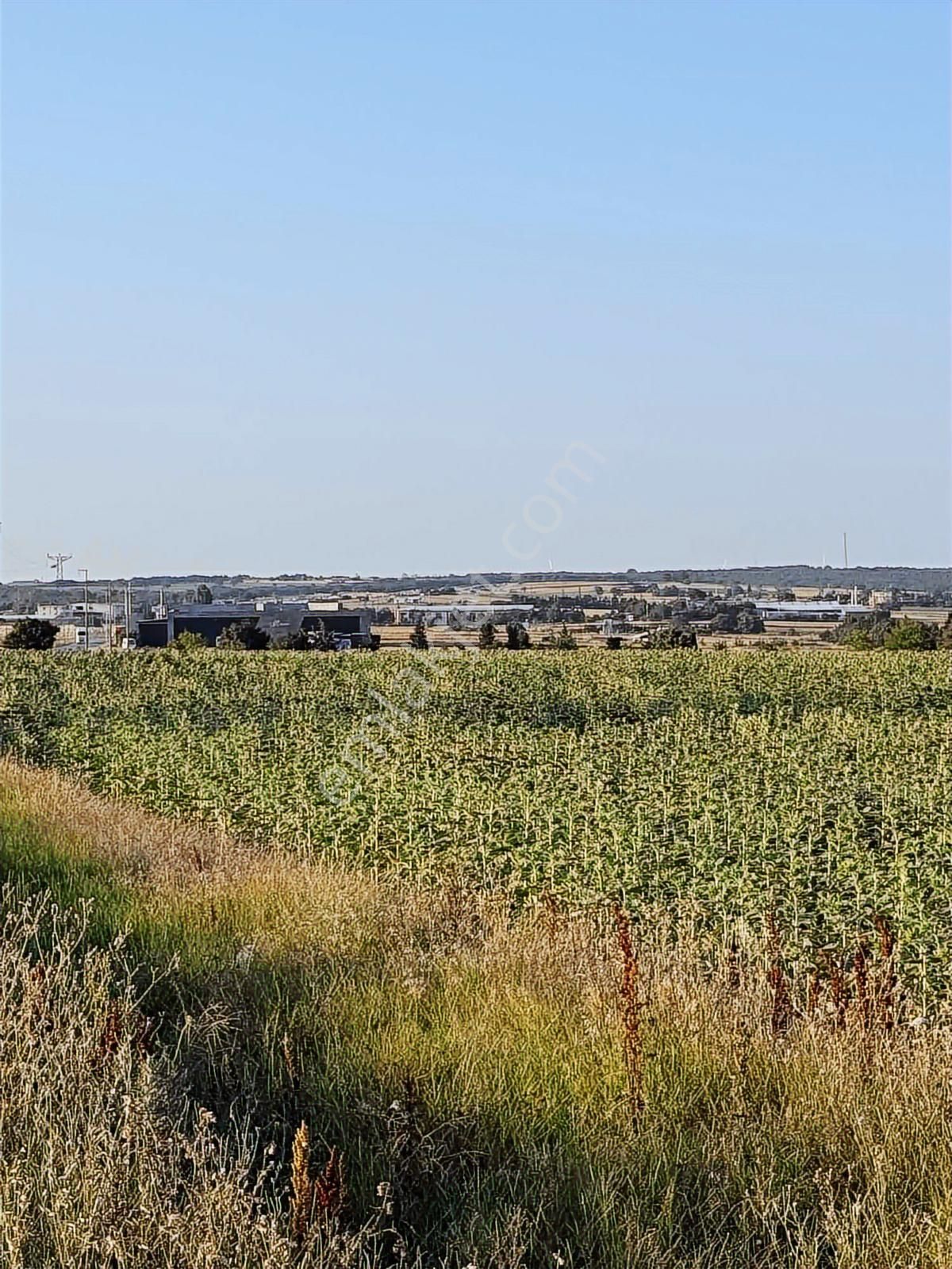 Silivri Beyciler Asfalt Cephe Yatırıma Uygun 14614 M2 Tarla - Görsel 15