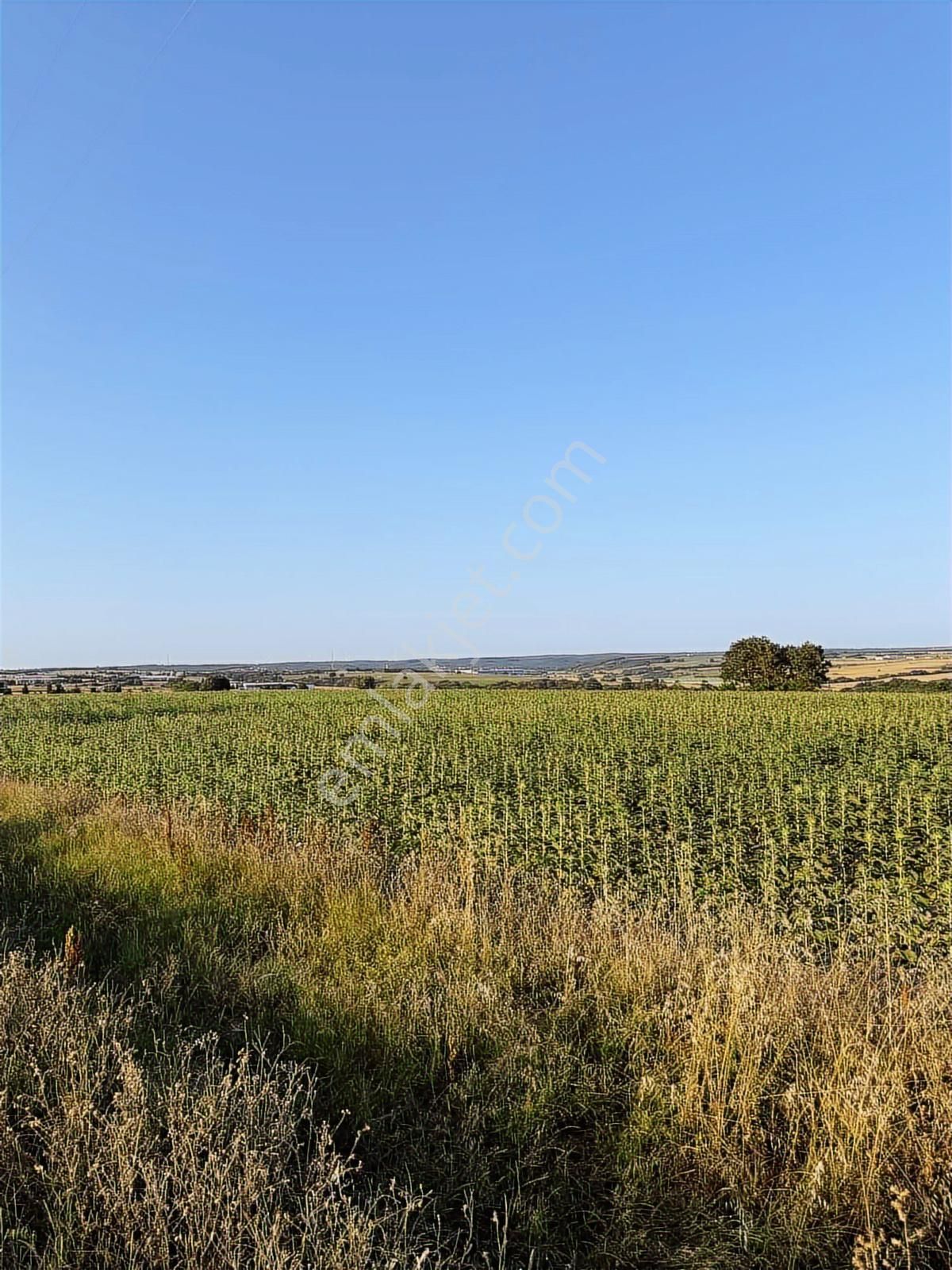 Silivri Beyciler Asfalt Cephe Yatırıma Uygun 14614 M2 Tarla - Görsel 7