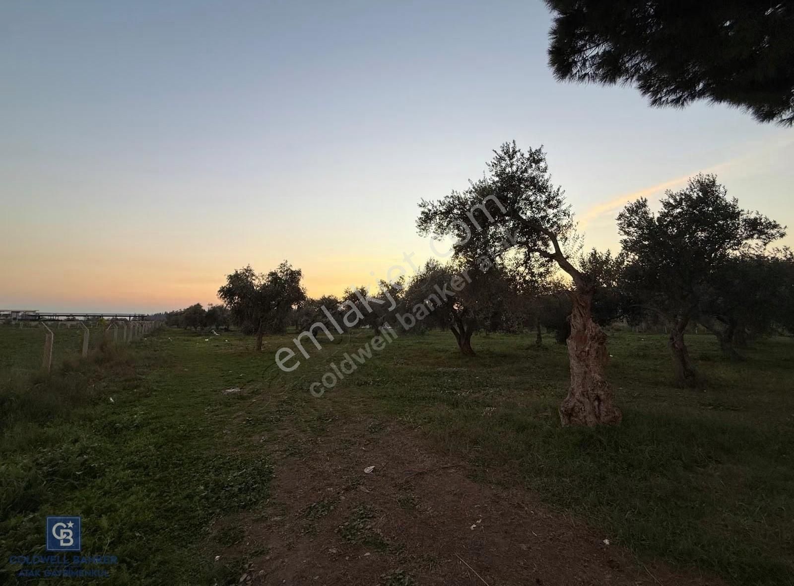 İzmir Bayındır Arıkbaşı Mahallesinde 7.997 M² Satılık Tarla - Görsel 14