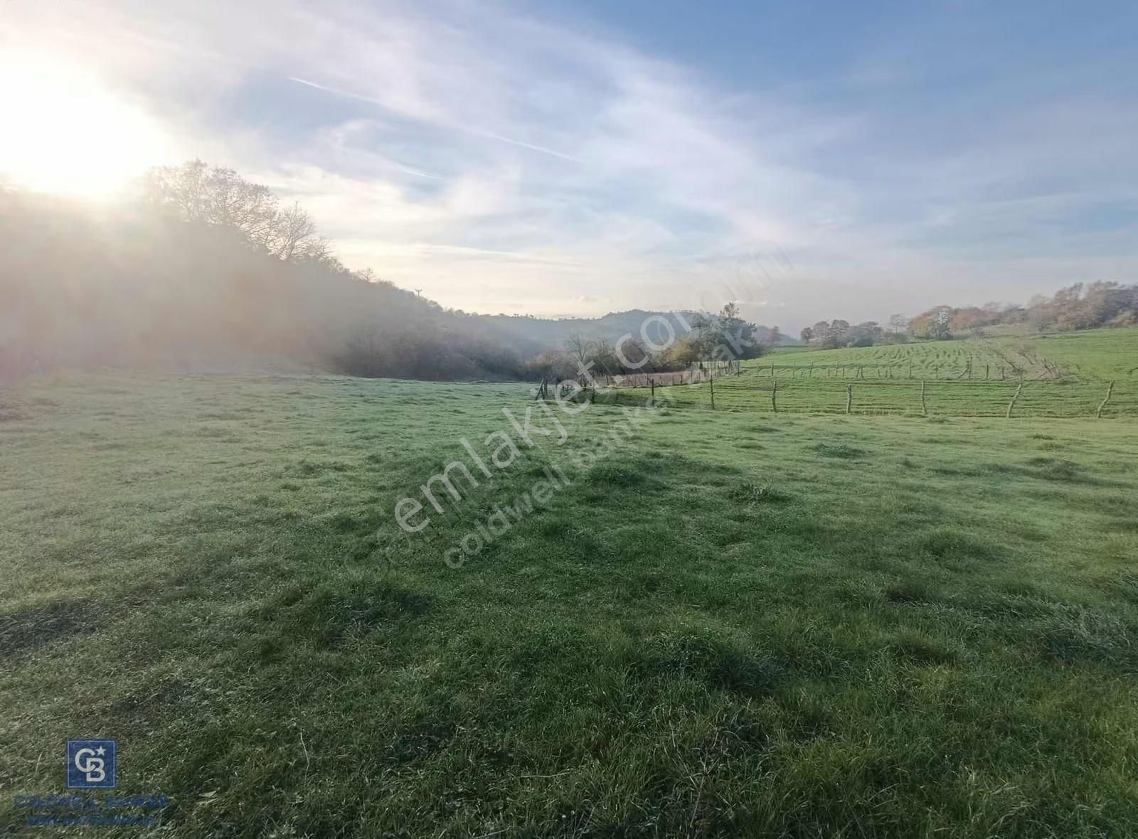 Çanda Köydibi Arazi - Görsel 5