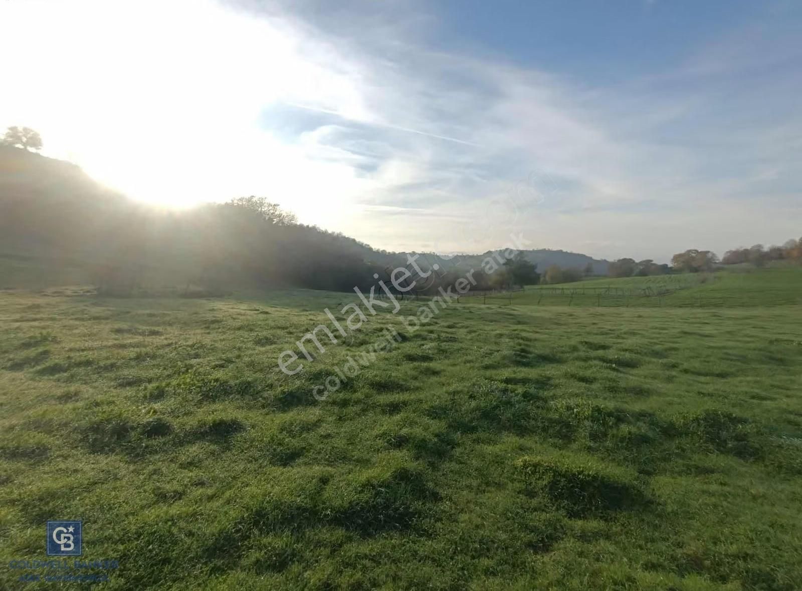 Çanda Köydibi Arazi - Görsel 7