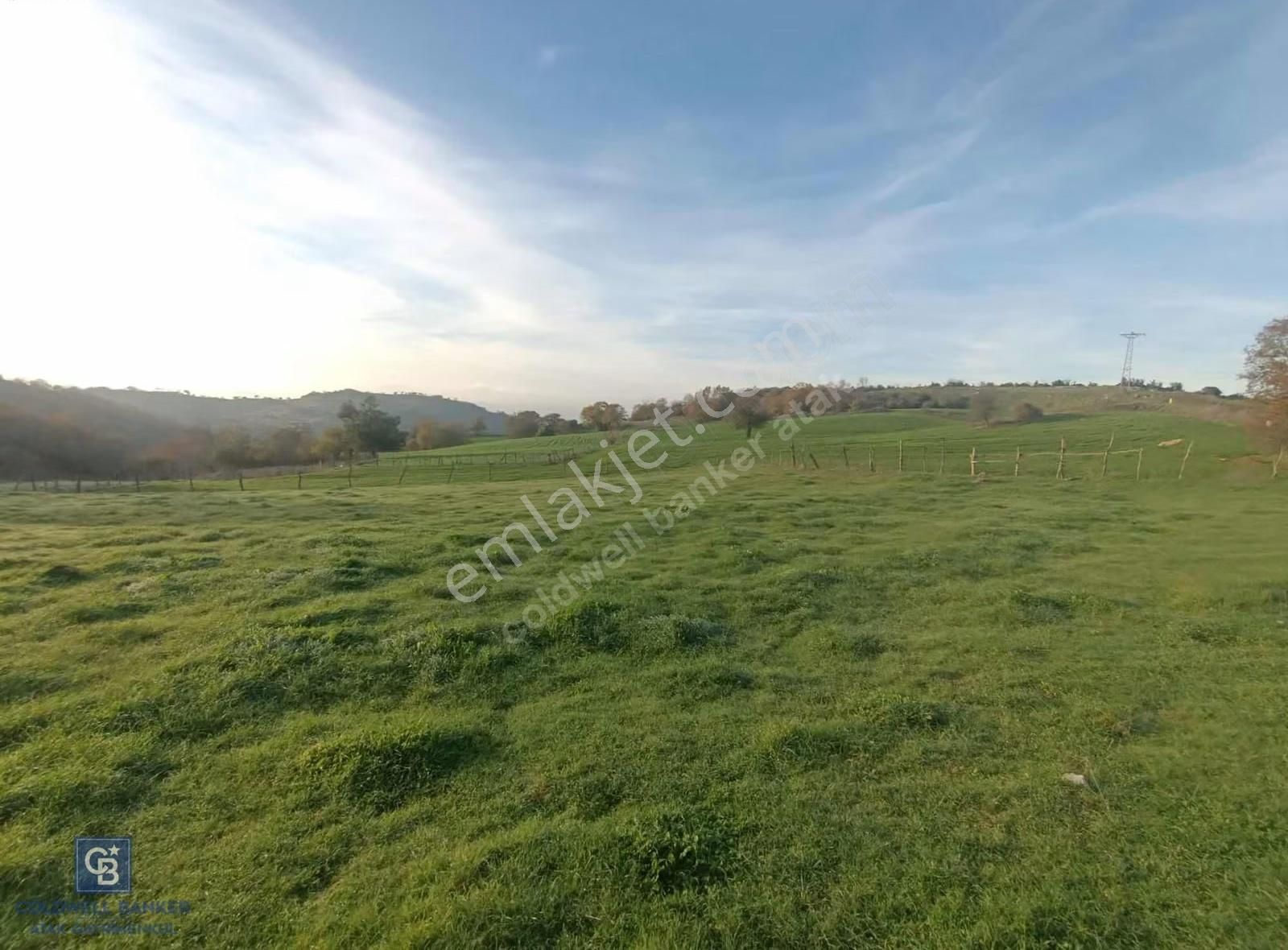 Çanda Köydibi Arazi - Görsel 4