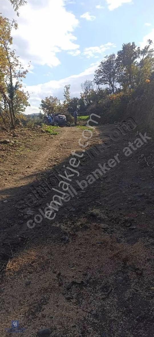 Bergamada Köye 200 M Mesafede Şahane Çiftlik Arazisi - Görsel 8