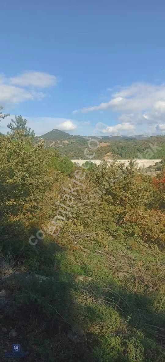 Bergamada Köye 200 M Mesafede Şahane Çiftlik Arazisi - Görsel 11