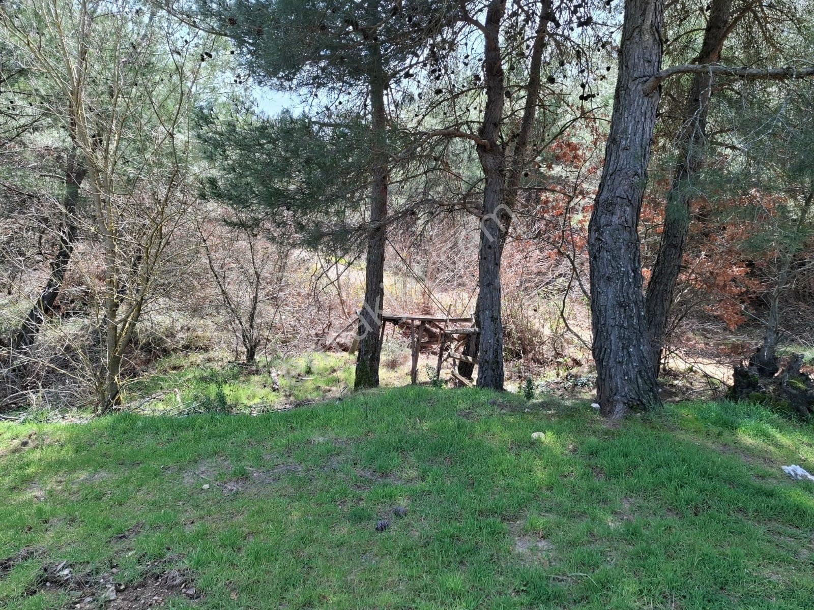 Bayındır Dernekli Mah.anayola Cepheli Satılık Tarla - Görsel 7