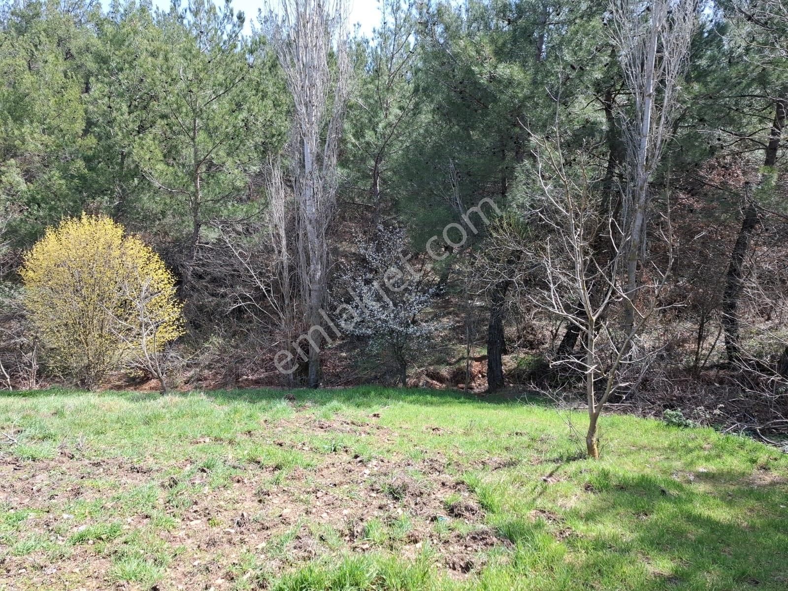 Bayındır Dernekli Mah.anayola Cepheli Satılık Tarla - Görsel 6