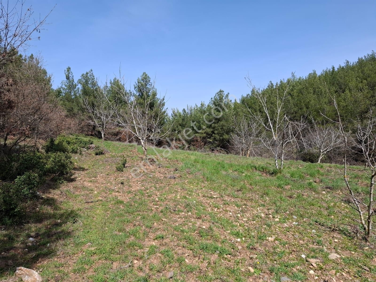 Bayındır Dernekli Mah.anayola Cepheli Satılık Tarla - Görsel 9