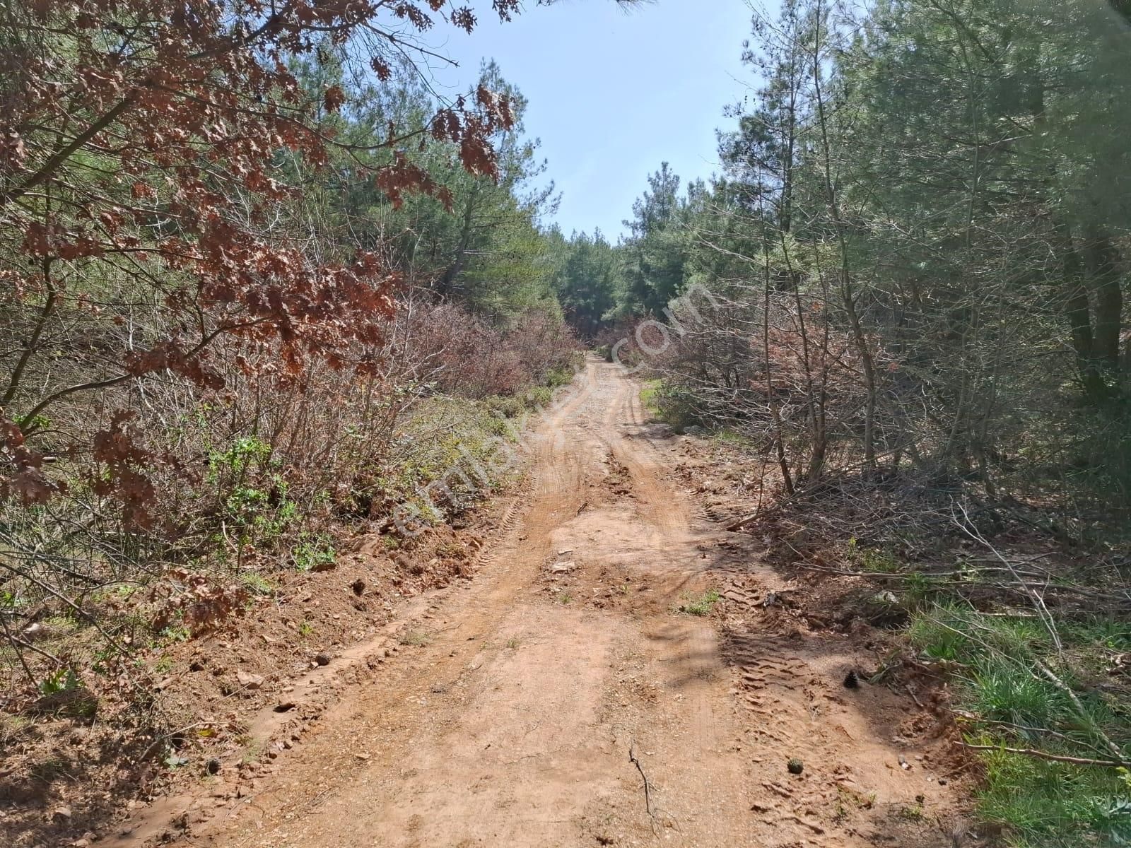 Bayındır Dernekli Mah.anayola Cepheli Satılık Tarla - Görsel 5