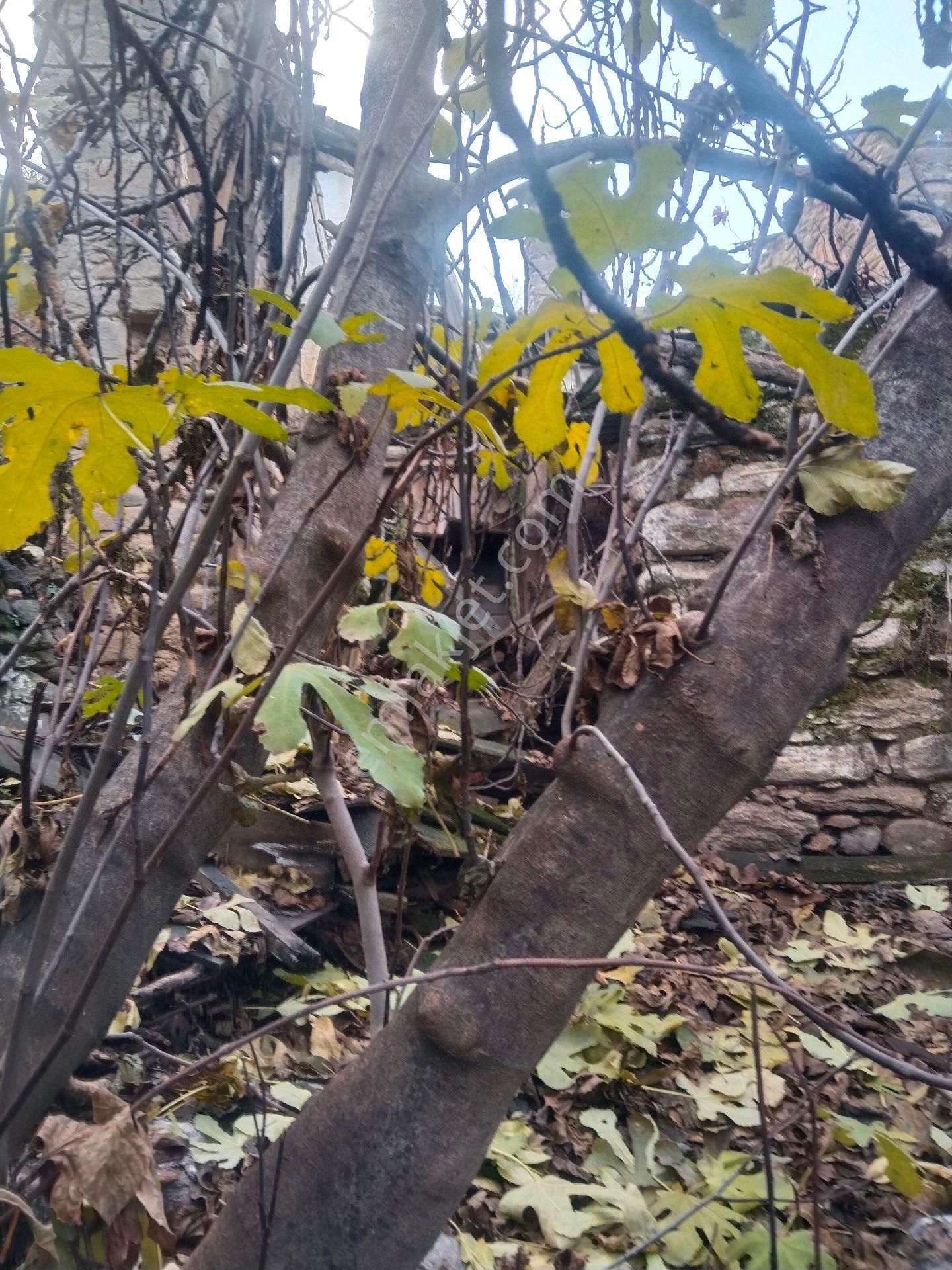 Duru Emlak'tan Satılık - Görsel 8