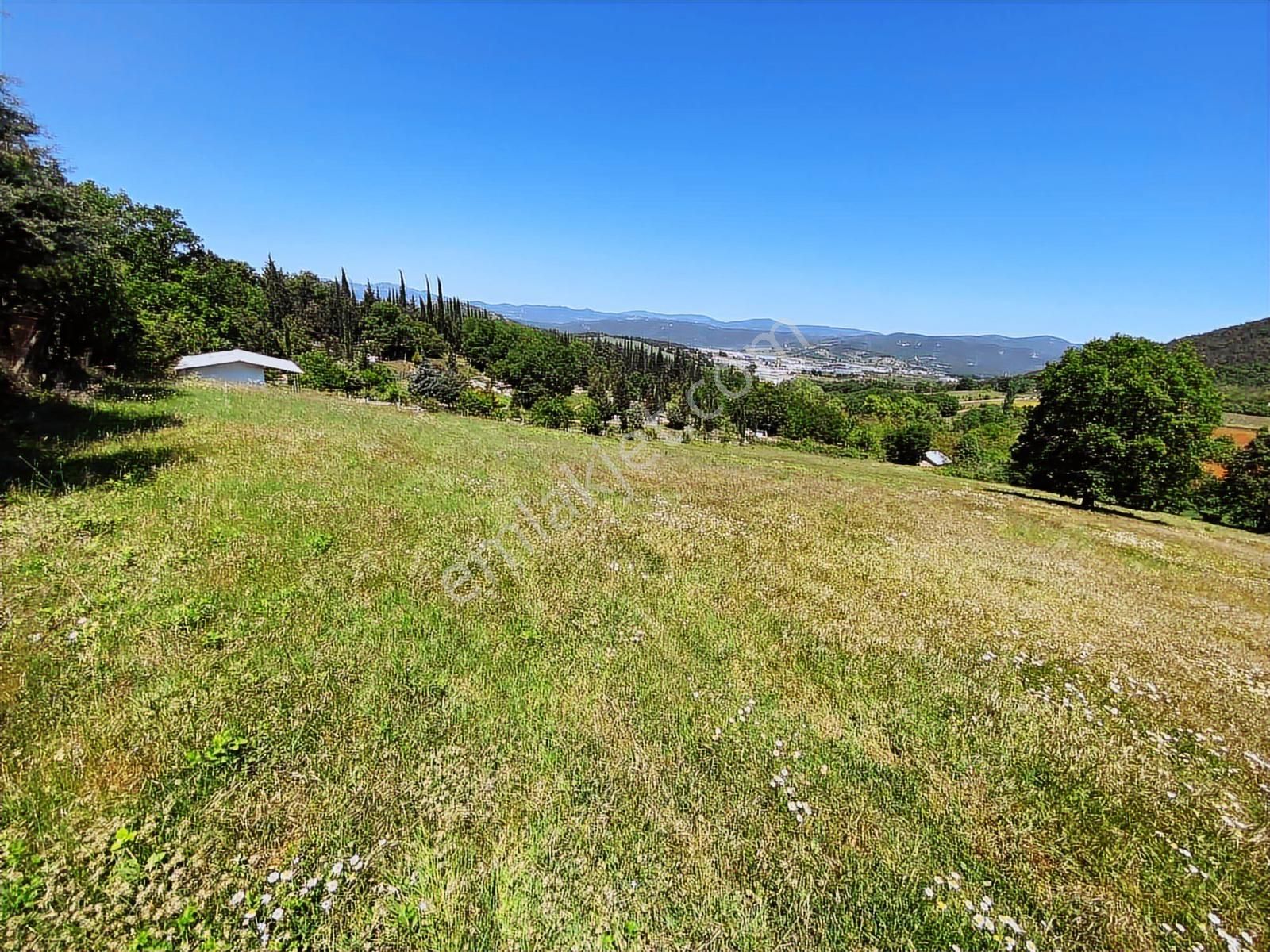 Megakent Gayrimenkulden Erdoğan Köyde Acil Satılık Eşsiz Tarla - Görsel 11