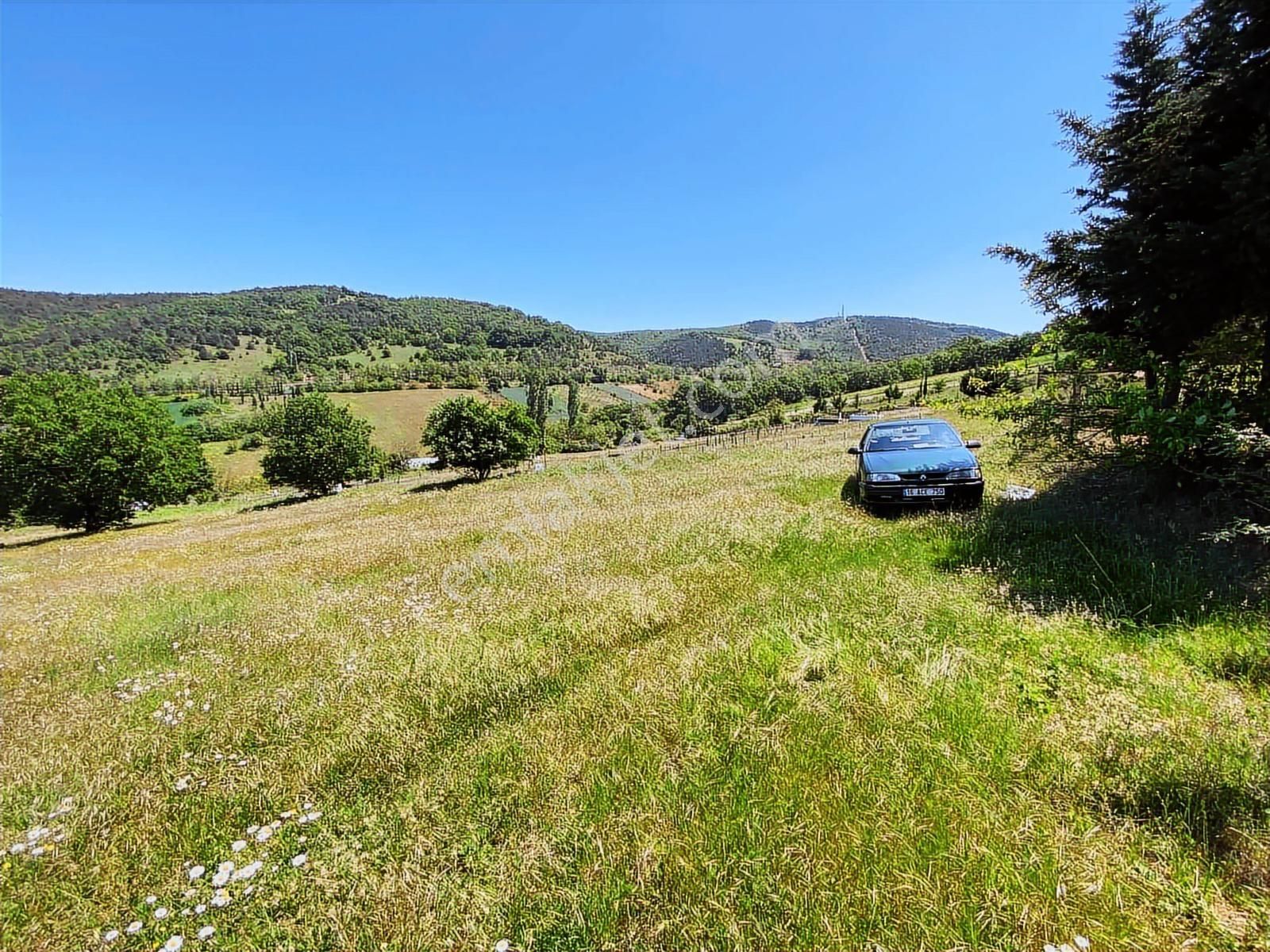 Megakent Gayrimenkulden Erdoğan Köyde Acil Satılık Eşsiz Tarla - Görsel 3