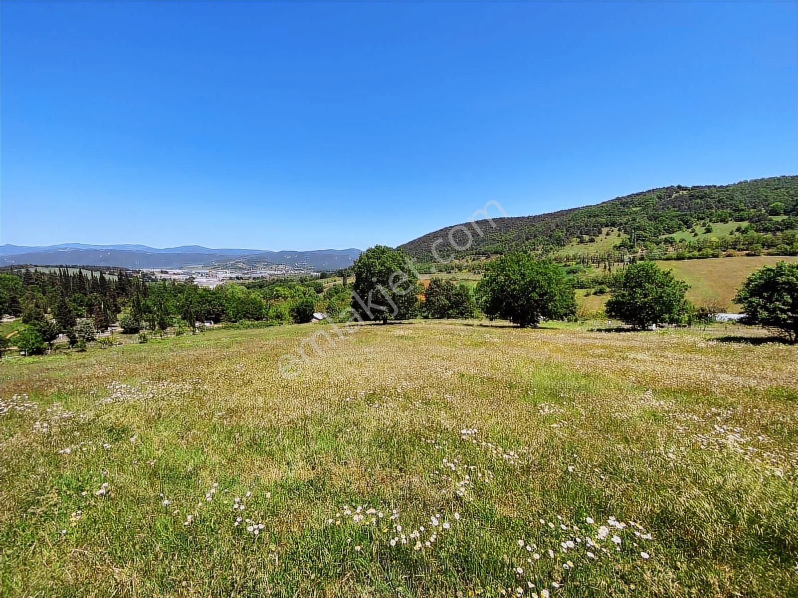 Megakent Gayrimenkulden Erdoğan Köyde Acil Satılık Eşsiz Tarla - Görsel 10