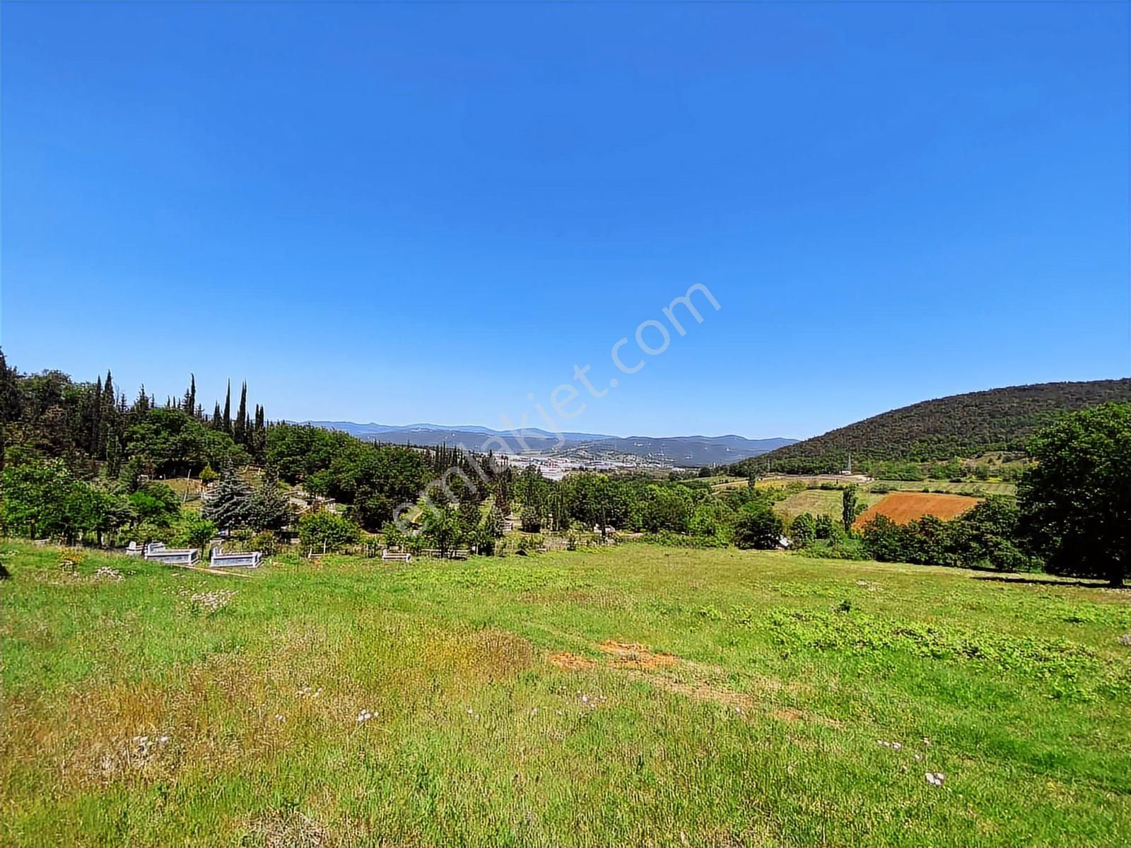 Megakent Gayrimenkulden Erdoğan Köyde Acil Satılık Eşsiz Tarla - Görsel 16