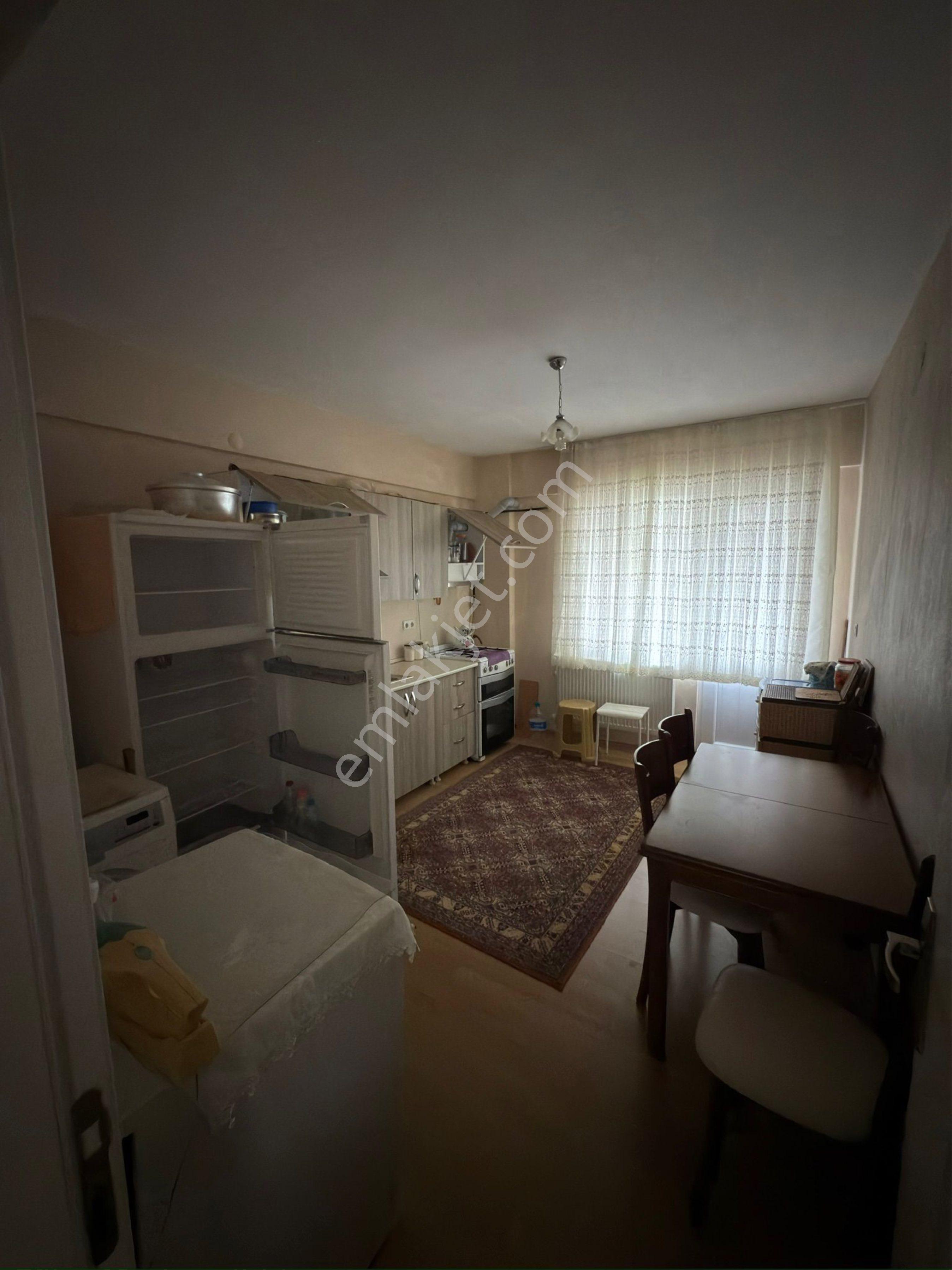 Skarya Kocaali Alandere Mahalesi - Görsel 26