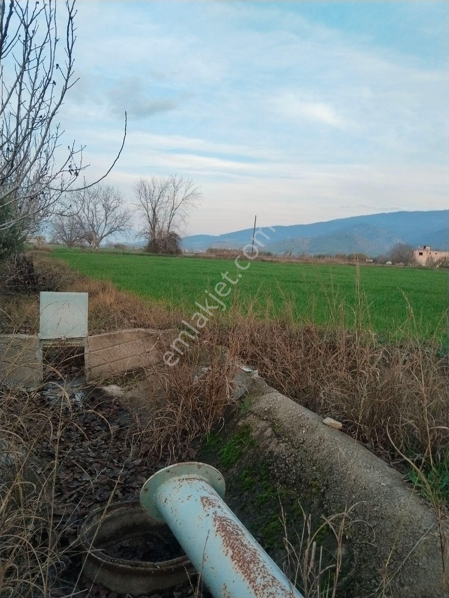 Duru Emlak'tan Satılık