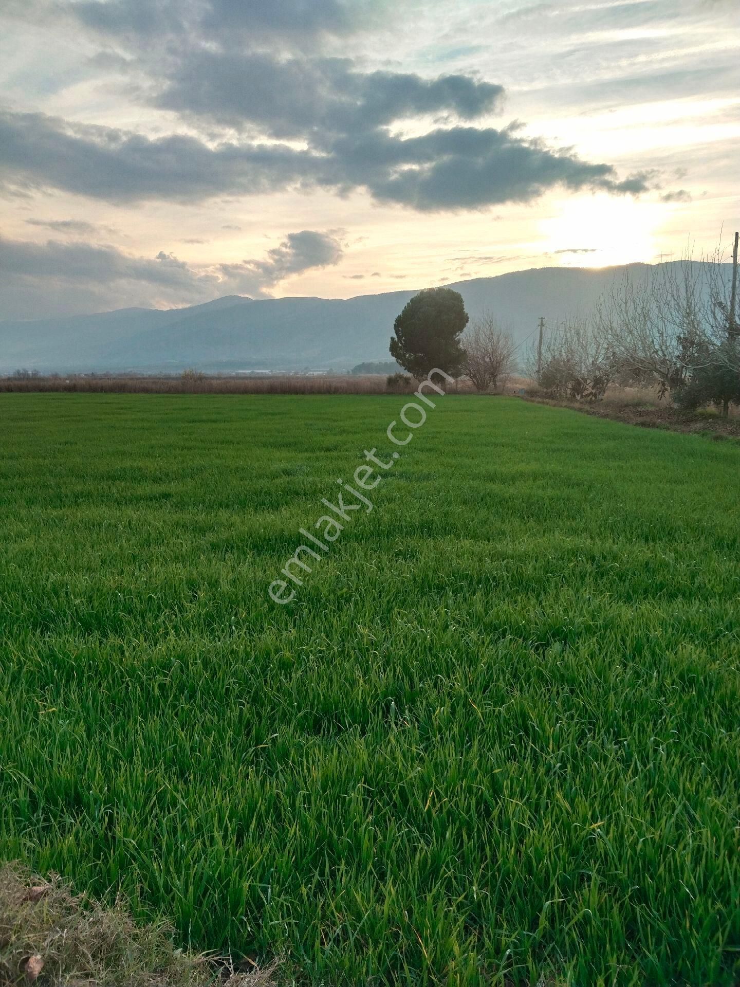 Duru Emlak'tan Satılık - Görsel 9