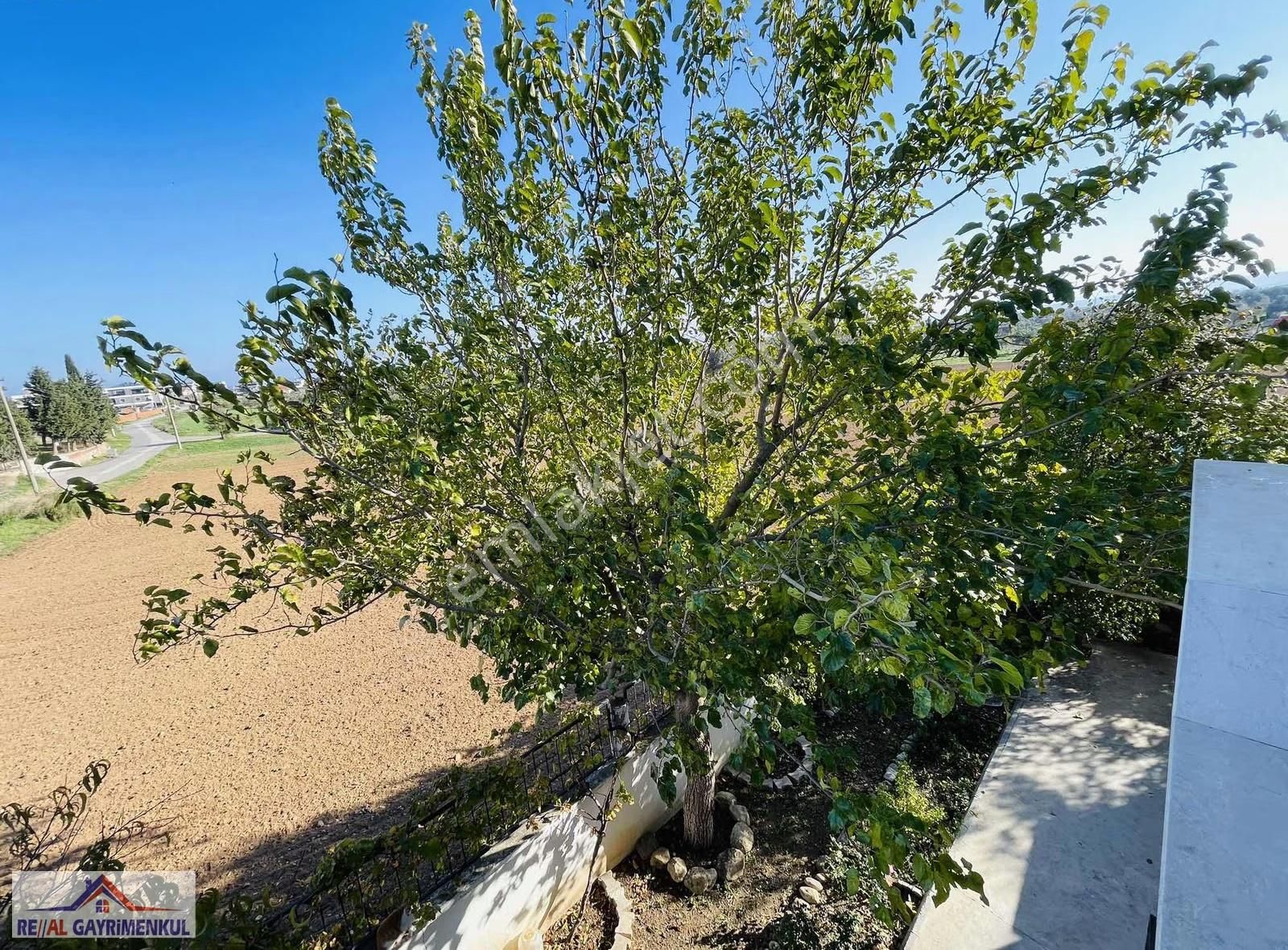 Real'den Görecede 210 M2 Kiralık 3+1 Daire - Görsel 23