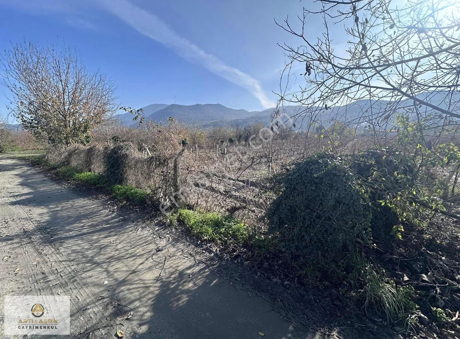Kuşadası Kirazlı Köyü 2209 Metre Kare Üzüm Bağı - Görsel 9
