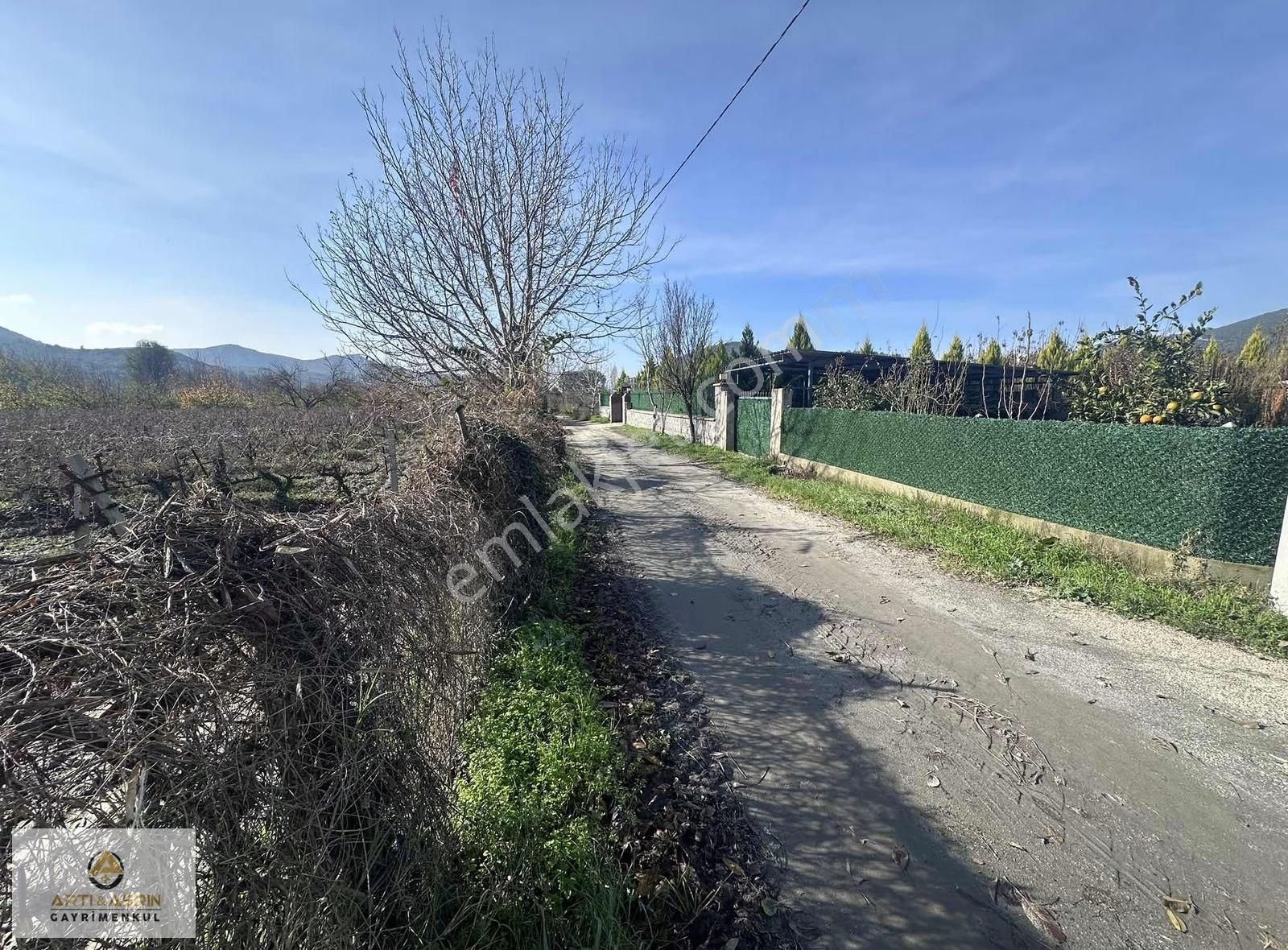 Kuşadası Kirazlı Köyü 2209 Metre Kare Üzüm Bağı - Görsel 4