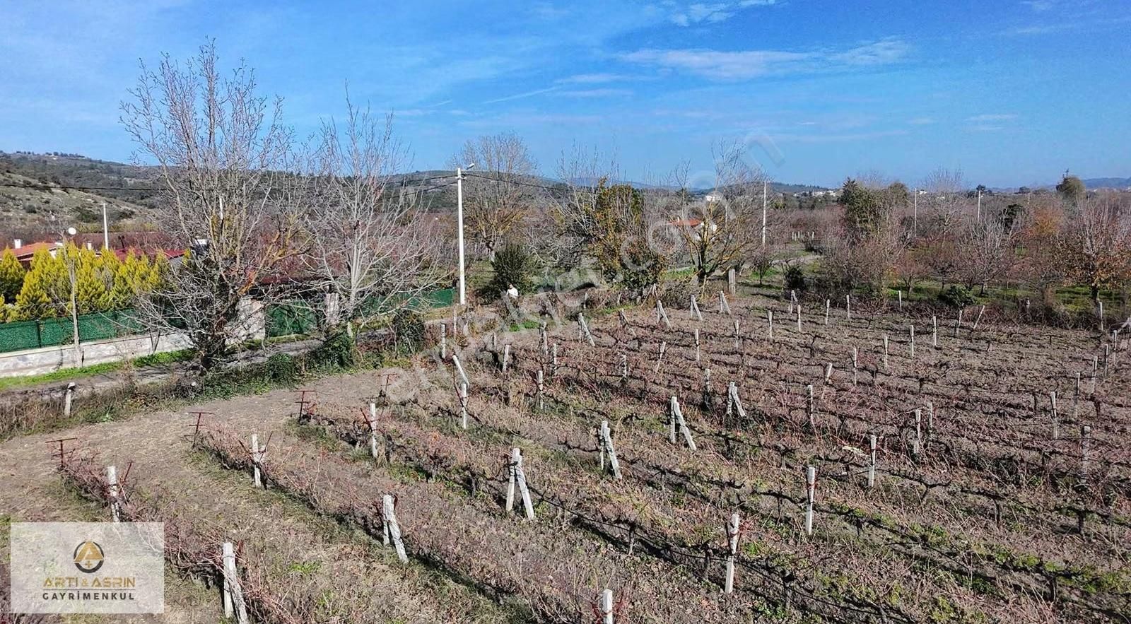 Kuşadası Kirazlı Köyü 2209 Metre Kare Üzüm Bağı - Görsel 7