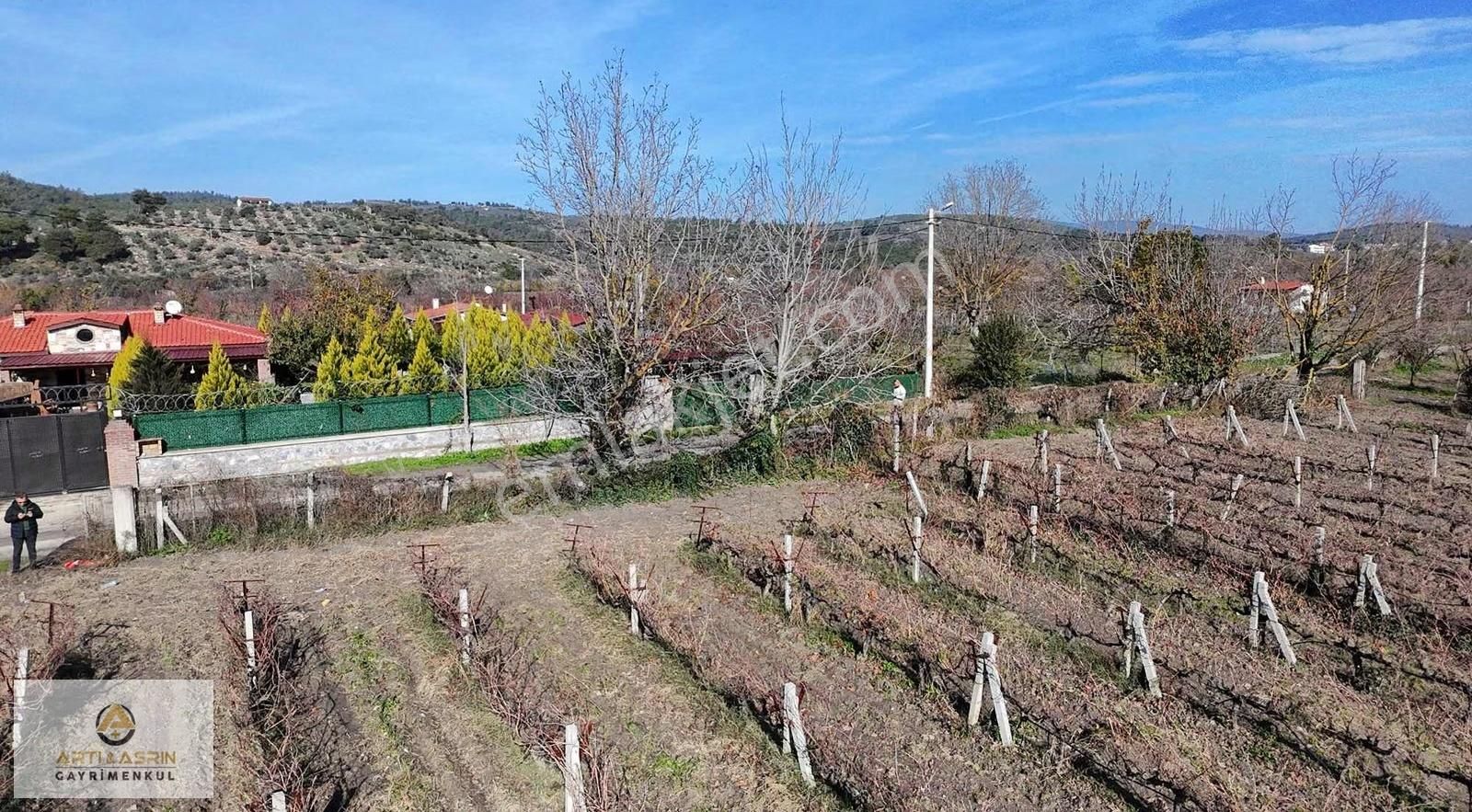 Kuşadası Kirazlı Köyü 2209 Metre Kare Üzüm Bağı - Görsel 3