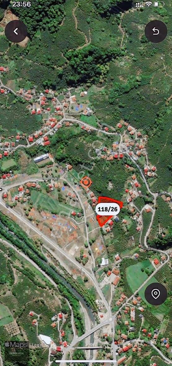 Satılık Fındık Bahçesi
