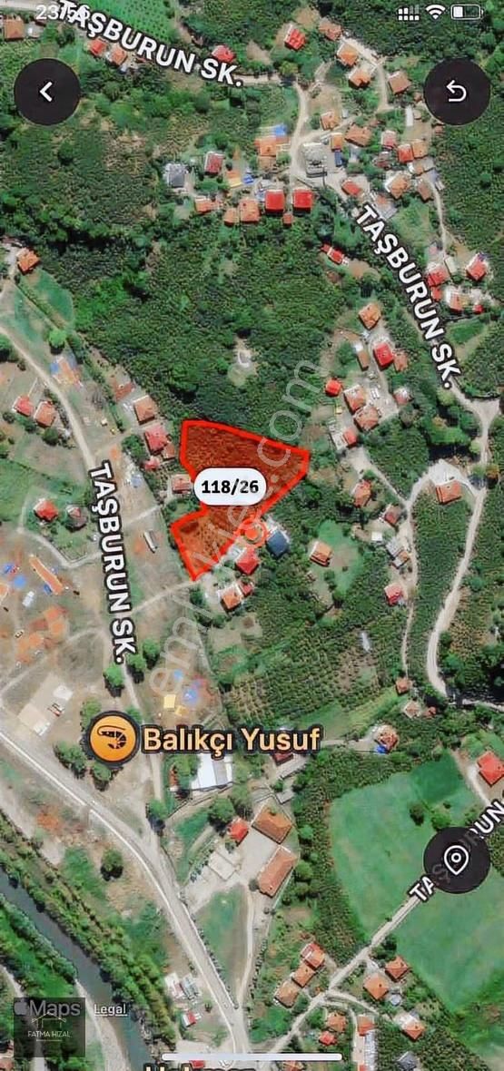 Satılık Fındık Bahçesi - Görsel 2