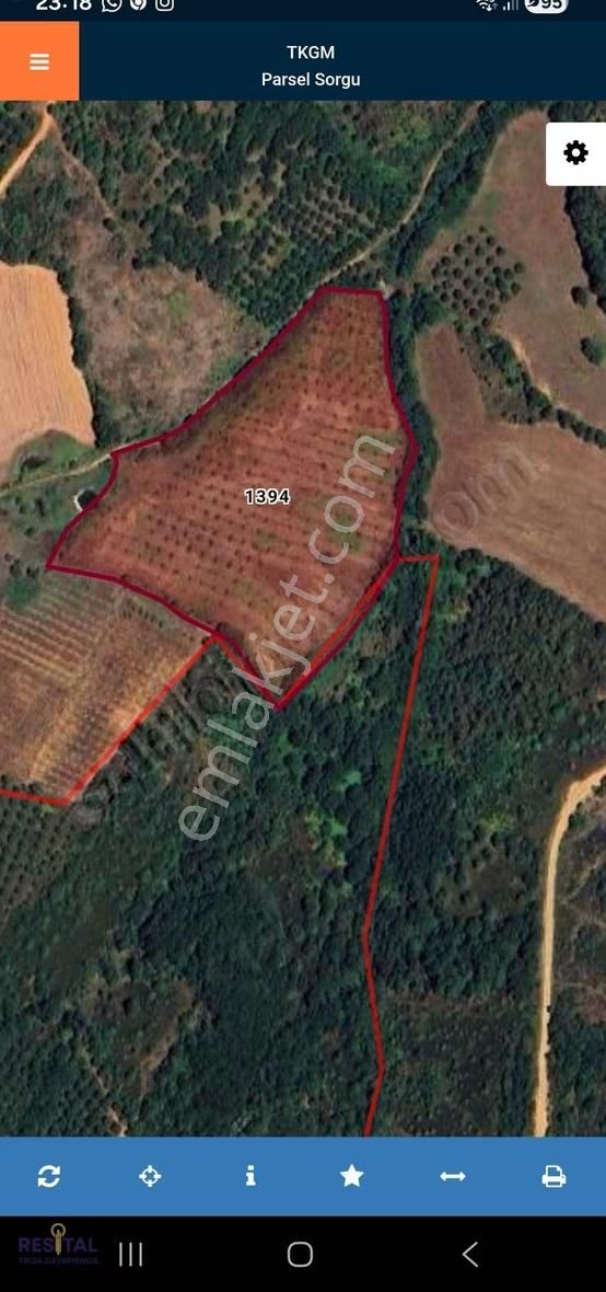 Biga Harmanlı'da Yatırıma Hazır,27 Dönüm Satılık Ceviz Bahçesi! - Görsel 9