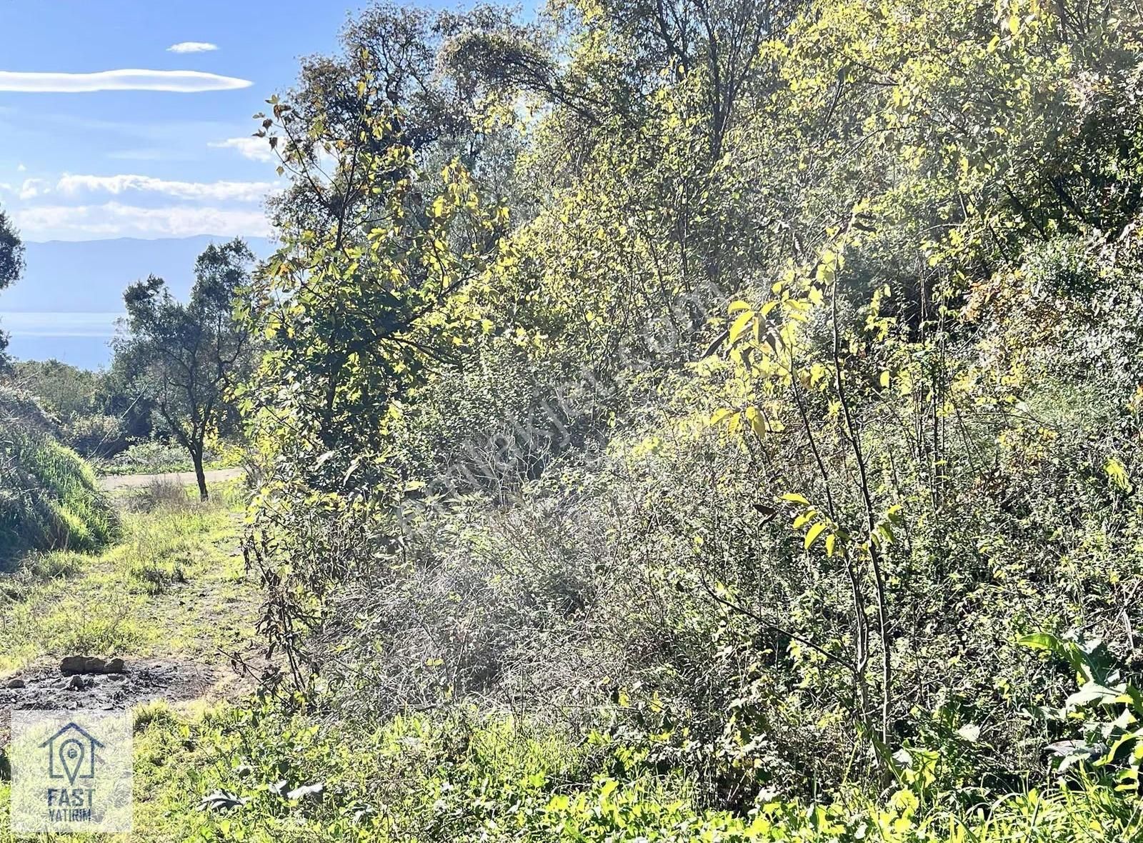 İznik Çakırlı'da Satılık Tarla - Görsel 3