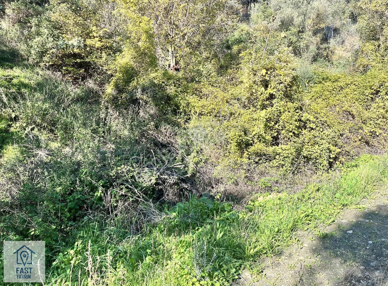 İznik Çakırlı'da Satılık Tarla - Görsel 22