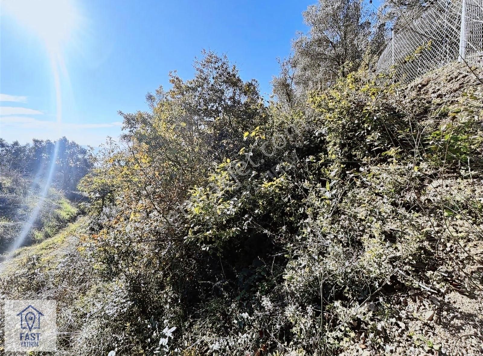 İznik Çakırlı'da Satılık Tarla - Görsel 16