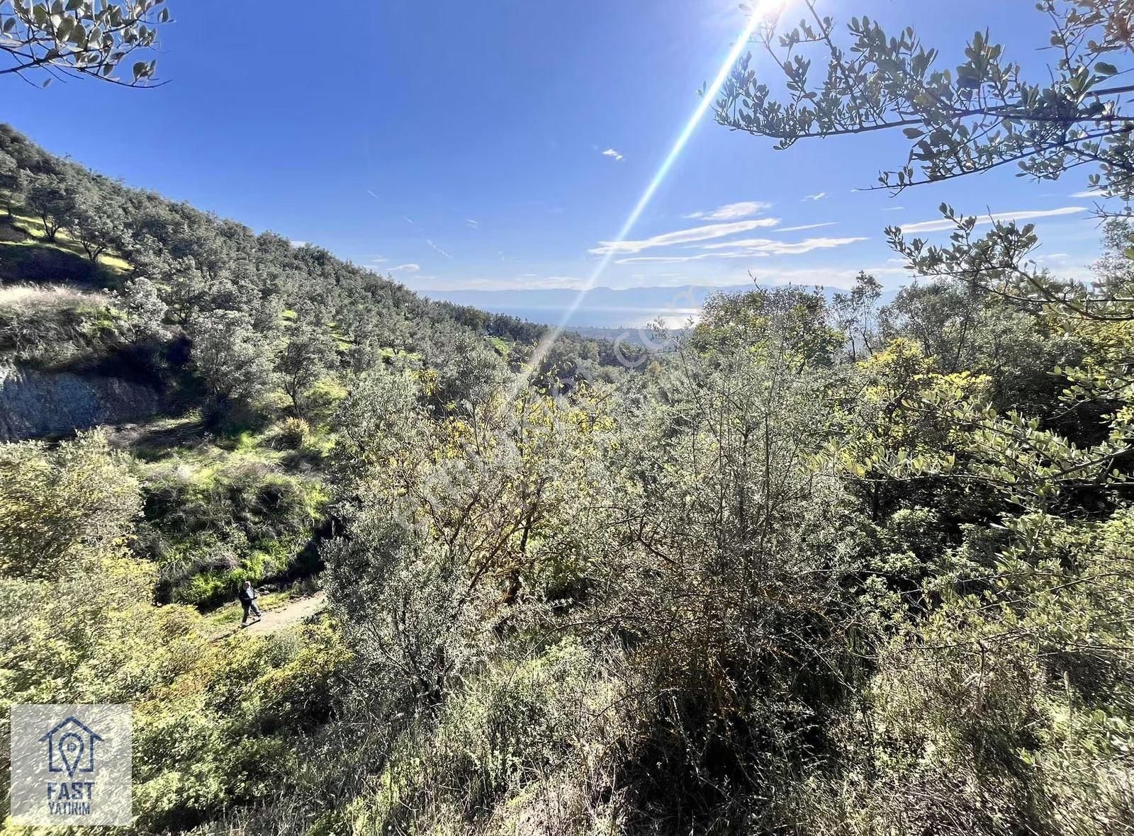 İznik Çakırlı'da Satılık Tarla - Görsel 4