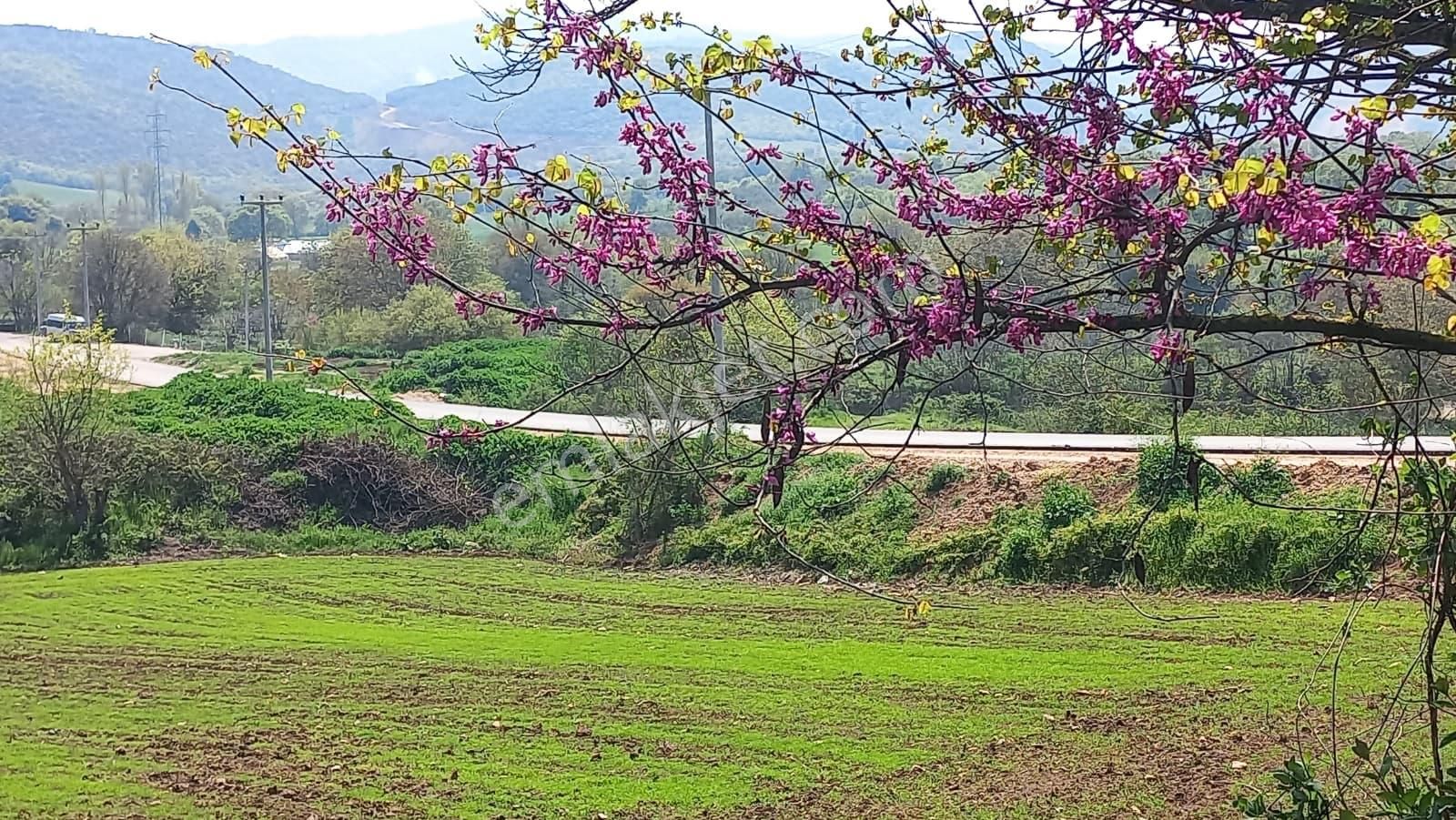 Akçalar'da Yatırımlık Bağ