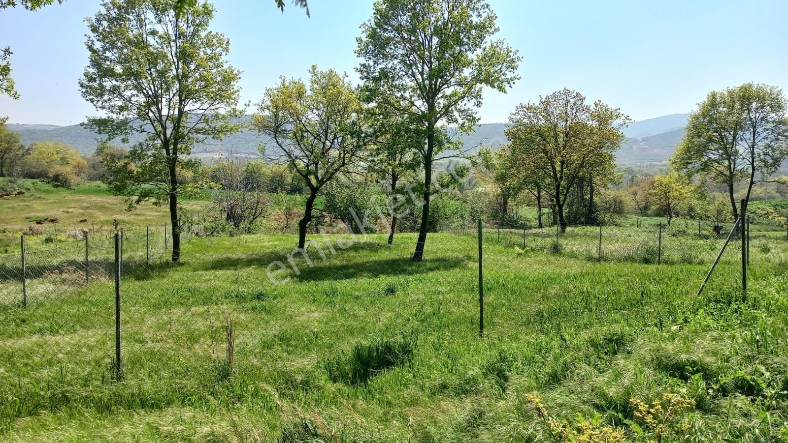 Akçalar'da Yatırımlık Bağ - Görsel 8