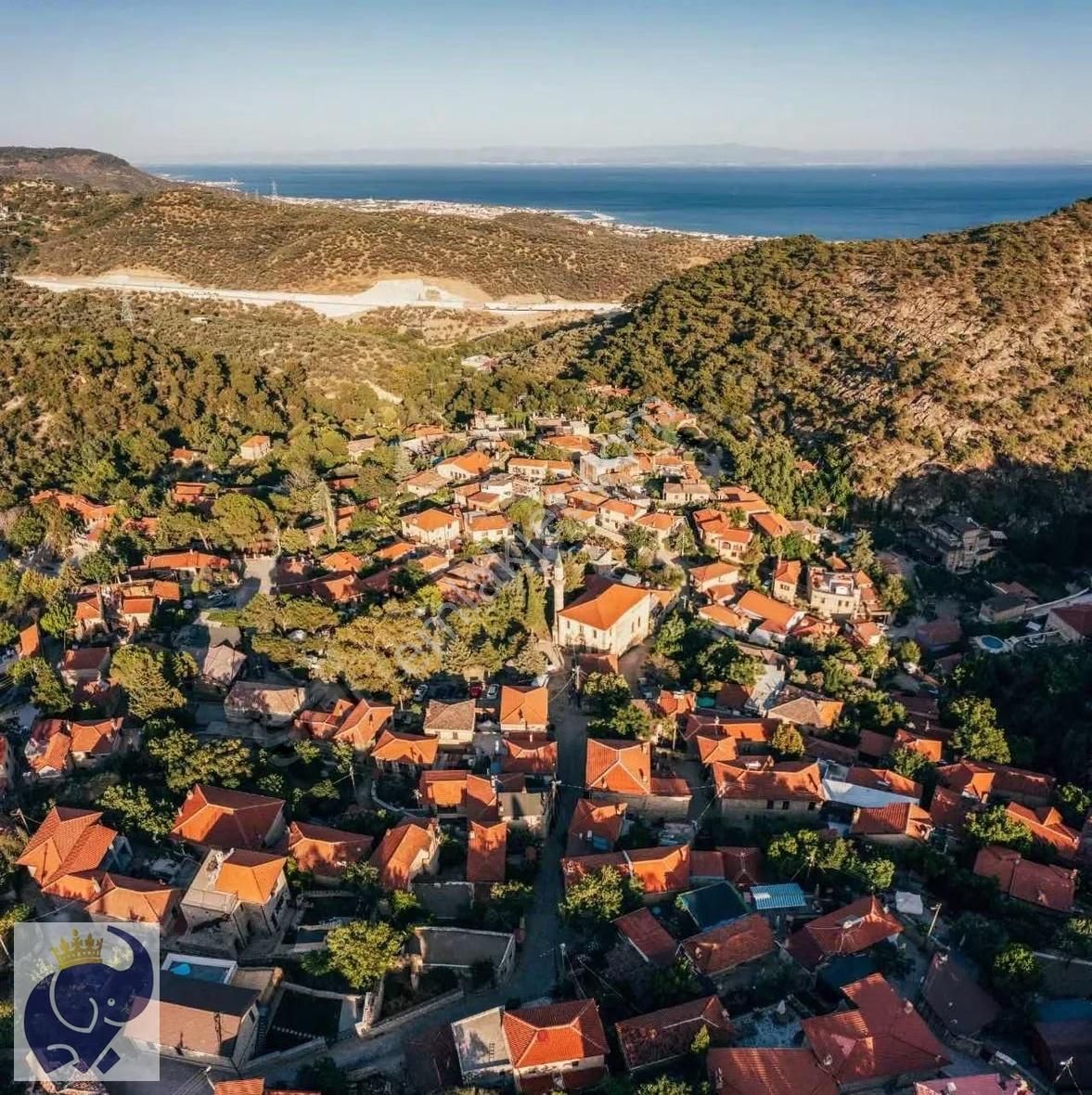Yeşilyurt Köyünde 10 Dönüm Zeytinlik - Görsel 9