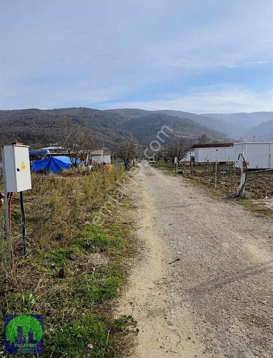 Fırsat Hobi Bahçesi Konteynırlı Ve Kullanıma Hazır - Görsel 7