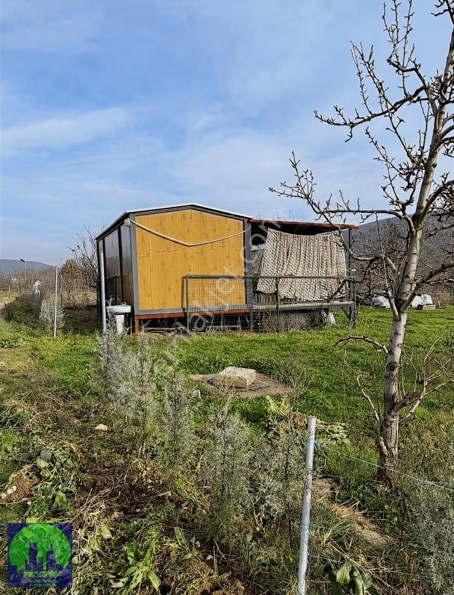 Fırsat Hobi Bahçesi Konteynırlı Ve Kullanıma Hazır - Görsel 3