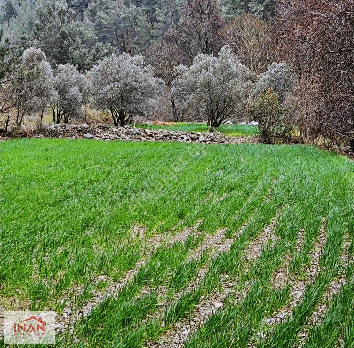 Fiyat Yılbaşına Kadar Düştü / Dere Kenarı 1086 M² Tarla - Görsel 6