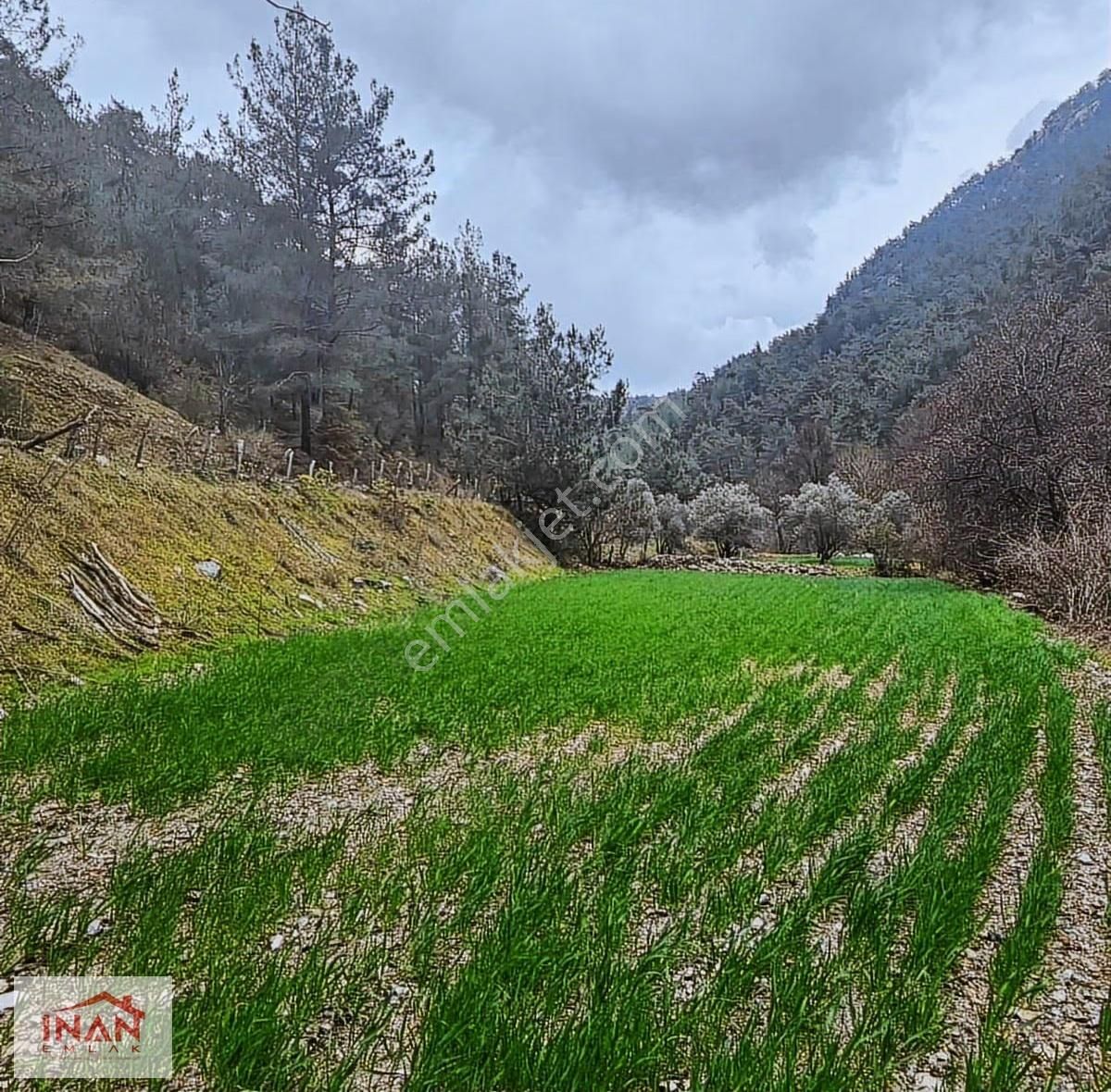 Fiyat Yılbaşına Kadar Düştü / Dere Kenarı 1086 M² Tarla - Görsel 9