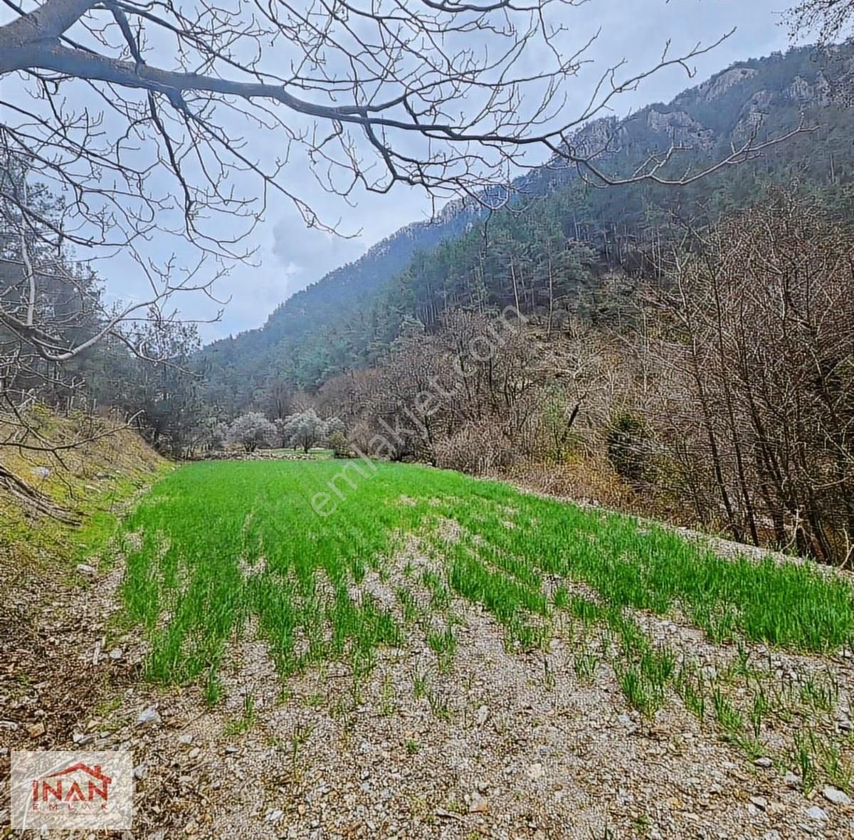 Fiyat Yılbaşına Kadar Düştü / Dere Kenarı 1086 M² Tarla - Görsel 7